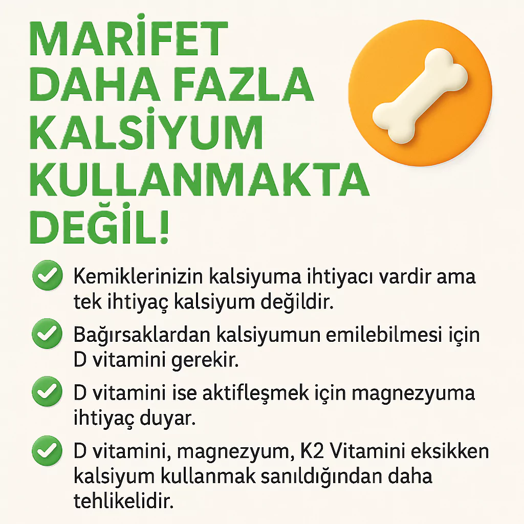 Görsel: Farklı Bileşenlerin Vücudun Kalsiyum Metabolizmasındaki Rolü