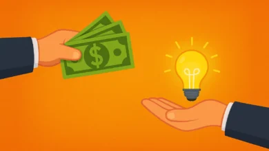 Hibe Nedir? Hibe Desteği Nasıl Alınır?
