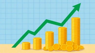 Gelir Nedir? Gelir Çeşitleri Nelerdir?
