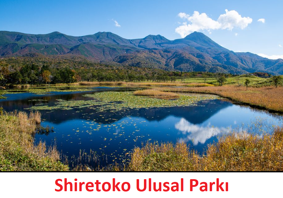 Hokkaido'da Gezilebilecek Yerler [Shiretoko Ulusal Parkı]