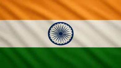 Hindistan Bayrağı
