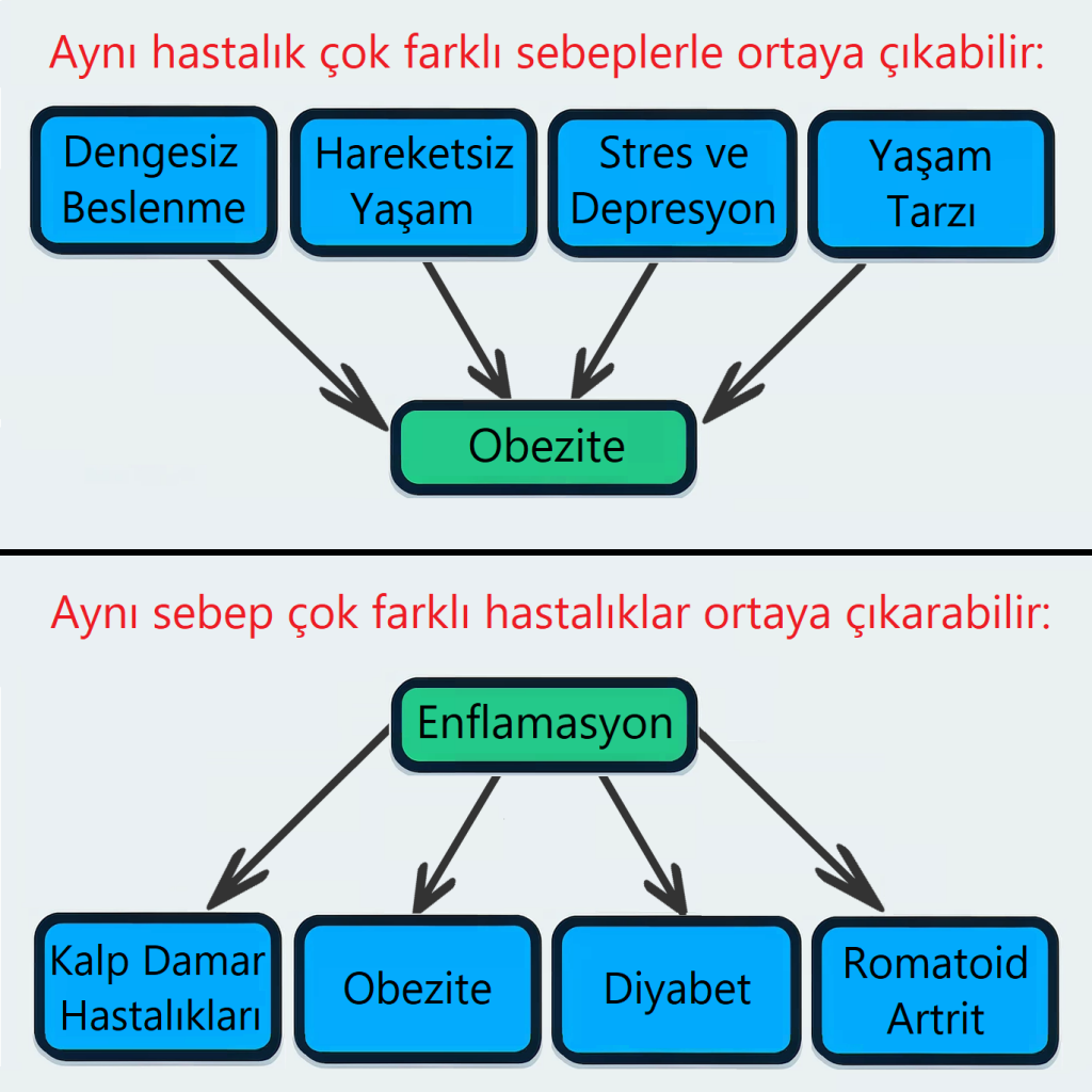 Görsel: Çok Yönlü Neden Sonuç İlişkilerine Örnek