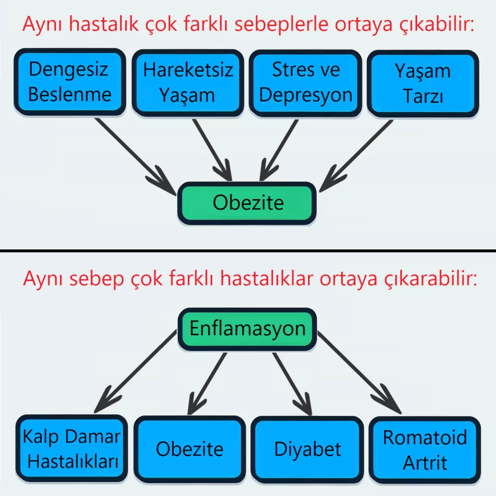 Görsel: Çok Yönlü Neden Sonuç İlişkilerine Örnek