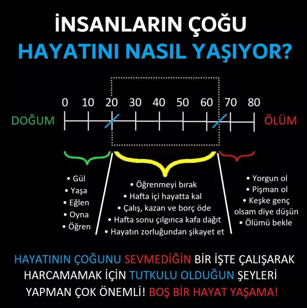 Görsel: Kişisel İlgi Alanlarına Göre Meslek Seçmenin Önemi