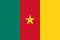 Görsel: Küçük Boyutlu Kamerun Bayrağı