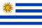 Görsel: Küçük Boyutlu Uruguay Bayrağı
